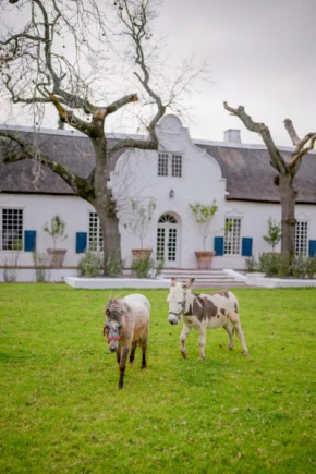 San Gabriel Homestead